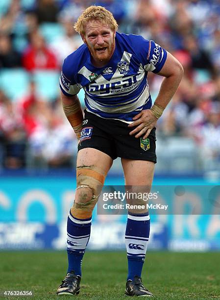 James Graham of the Bulldogs is injured during the round 13 NRL match between the Canterbury Bulldogs and the St George Illawarra Dragons at ANZ...