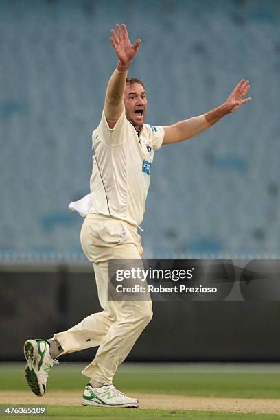 John Hastings of the Bushrangers celebrates taking the wicket of Tim Paine of the Tigers during day one of the Sheffield Shield match between...