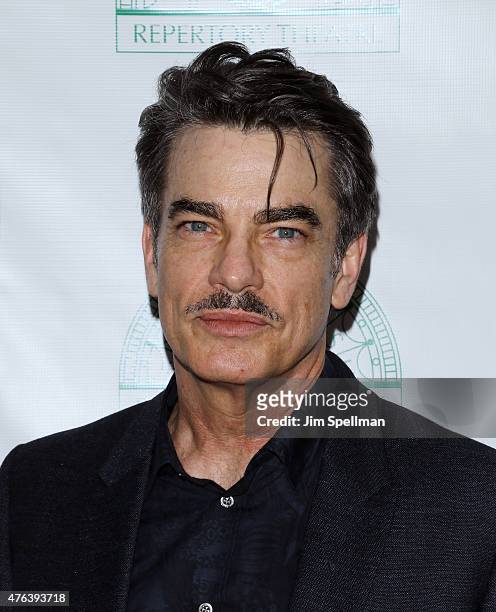 Actor Peter Gallagher attends the Irish Repertory Theatre's YEATS: The Celebration at Town Hall on June 8, 2015 in New York City.