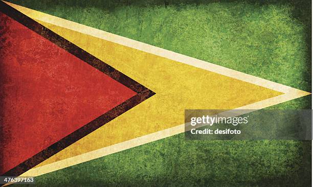 stockillustraties, clipart, cartoons en iconen met guyana grunge flag - triangel