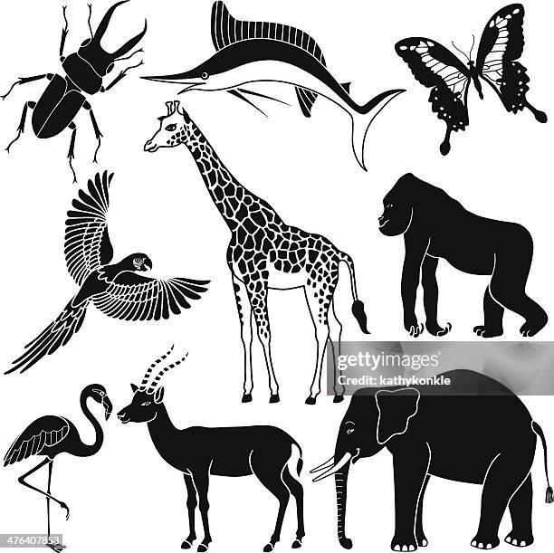 tropical animals in black and white - flamingo vector stock illustrations