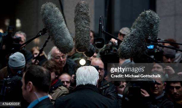 German Foreign Minister Frank-Walter Steinmeier talks to journalists prior a special session of the EU Council for Foreign Relations on March 03,...