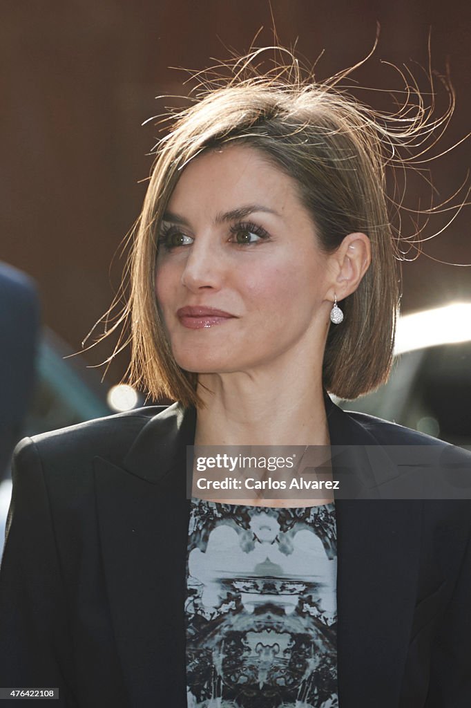 Queen Letizia Attends a Meeting With Members of AECC