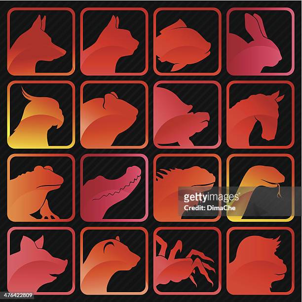 pets color icon set - mammal stock illustrations