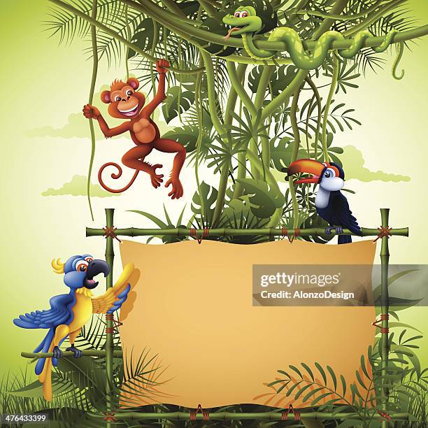 rainforest with banners and wild animals - jungle tree cartoon stock illustrations
