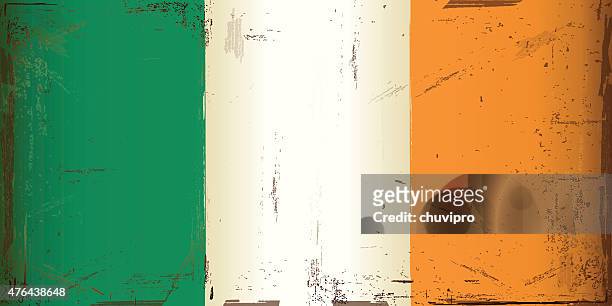 grunge 1:2 variante der irischen flagge - ehemalige irische währung stock-grafiken, -clipart, -cartoons und -symbole