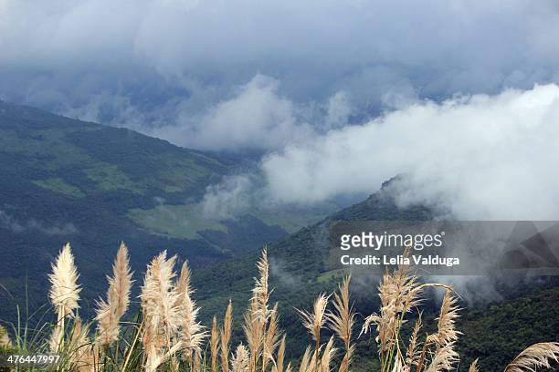 campos de cima da serra - arrival of storm and fog - vista de cima stock pictures, royalty-free photos & images