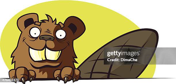 ilustraciones, imágenes clip art, dibujos animados e iconos de stock de de historieta beaver - funny groundhog