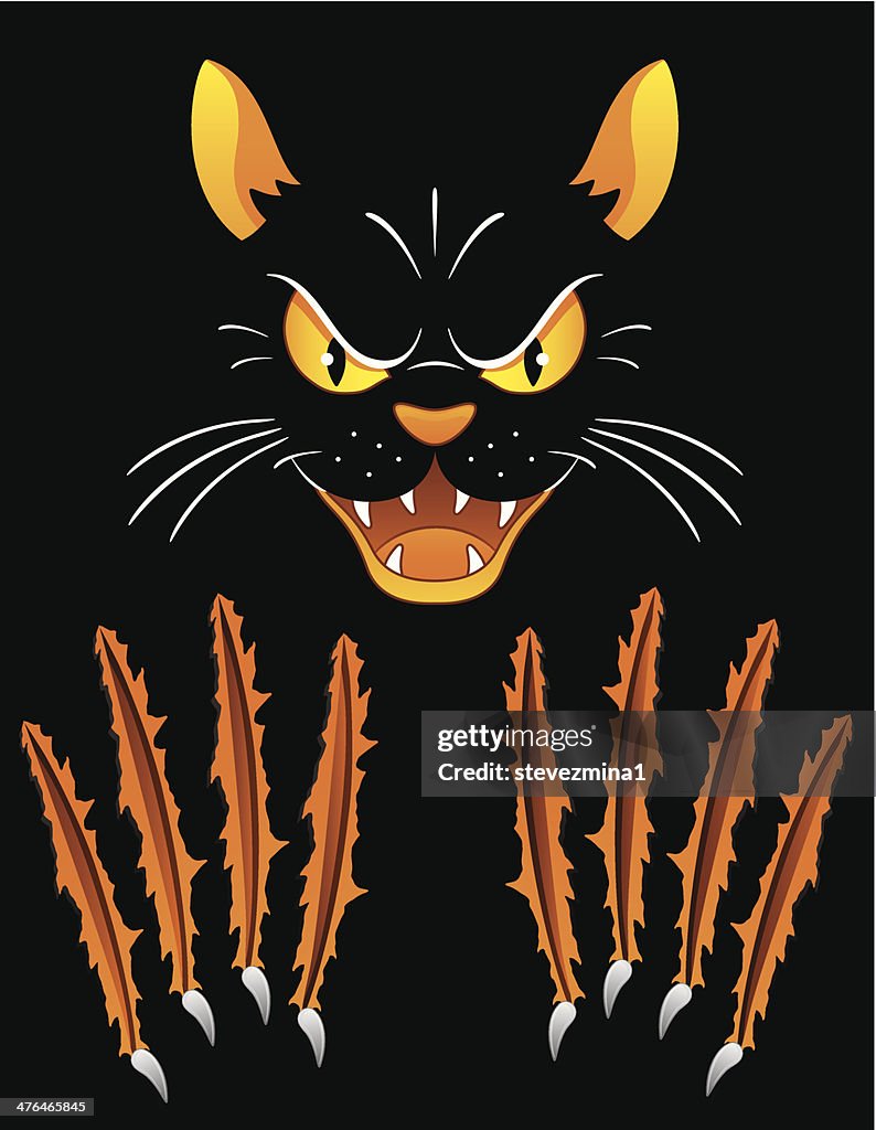 Cat Scratch Fever