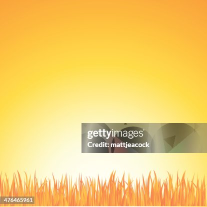 Sunset background Sunset background