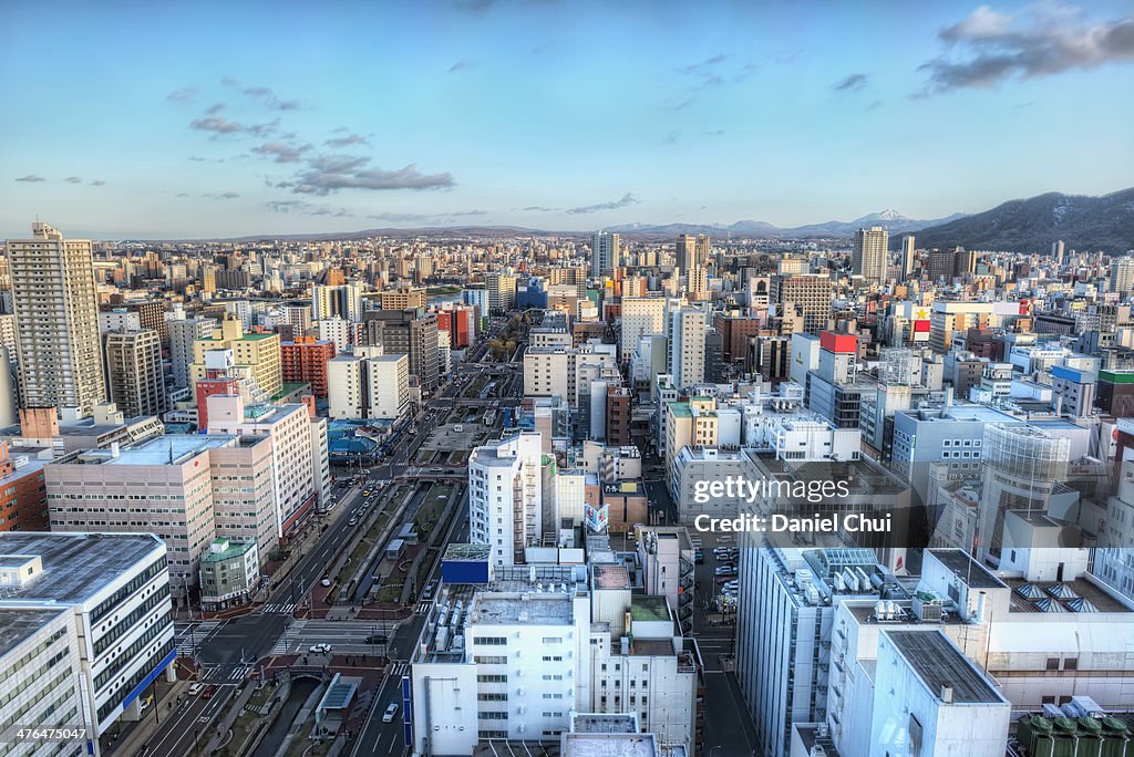 Southern view of downtown Sapporo