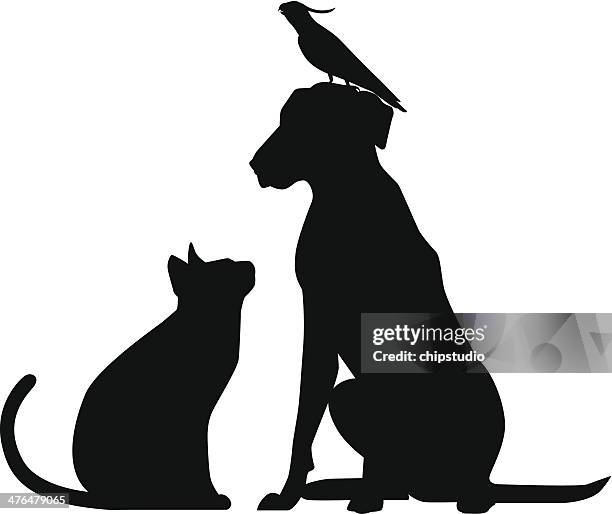 bildbanksillustrationer, clip art samt tecknat material och ikoner med bird cat dog - looking up