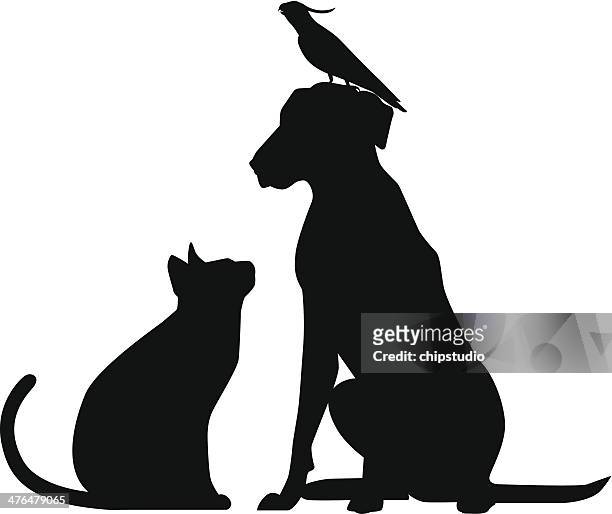 bird cat dog - looking up stock illustrations