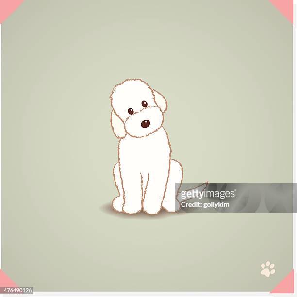 labradoodle dog - labradoodle stock illustrations