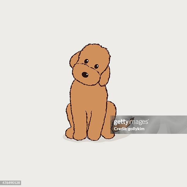 brown labradoodle - labradoodle stock illustrations