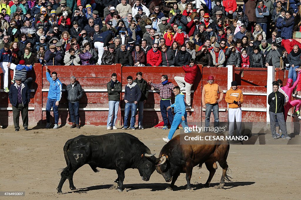 SPAIN-FESTIVAL-CARNIVAL-TORO