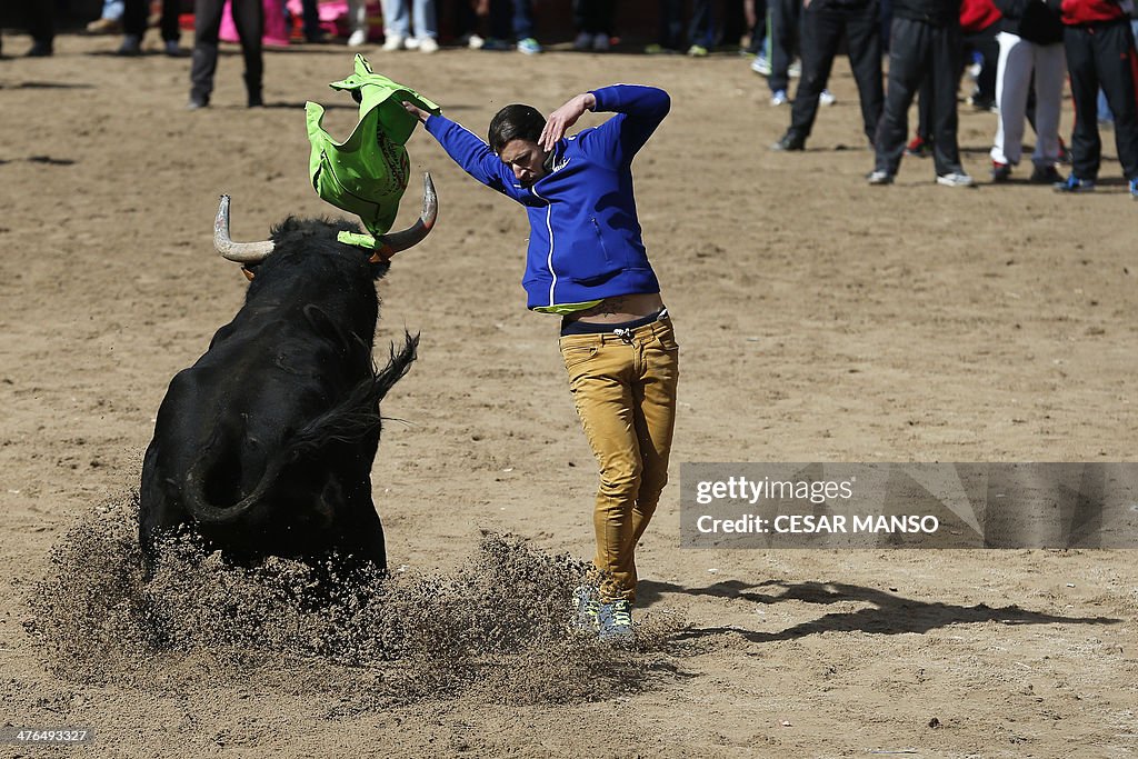 SPAIN-FESTIVAL-CARNIVAL-TORO