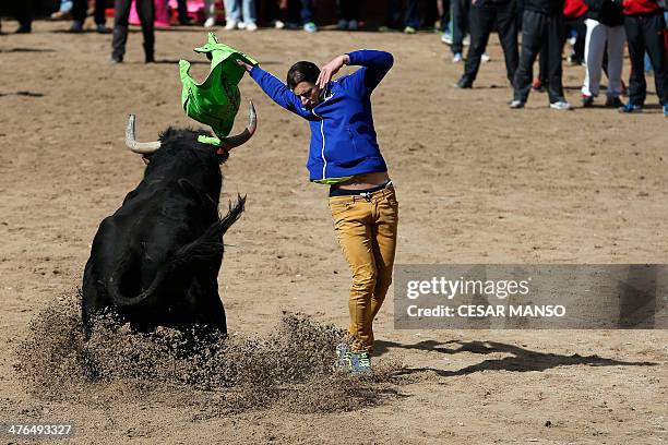 SPAIN-FESTIVAL-CARNIVAL-TORO, Nachrichtenfoto
