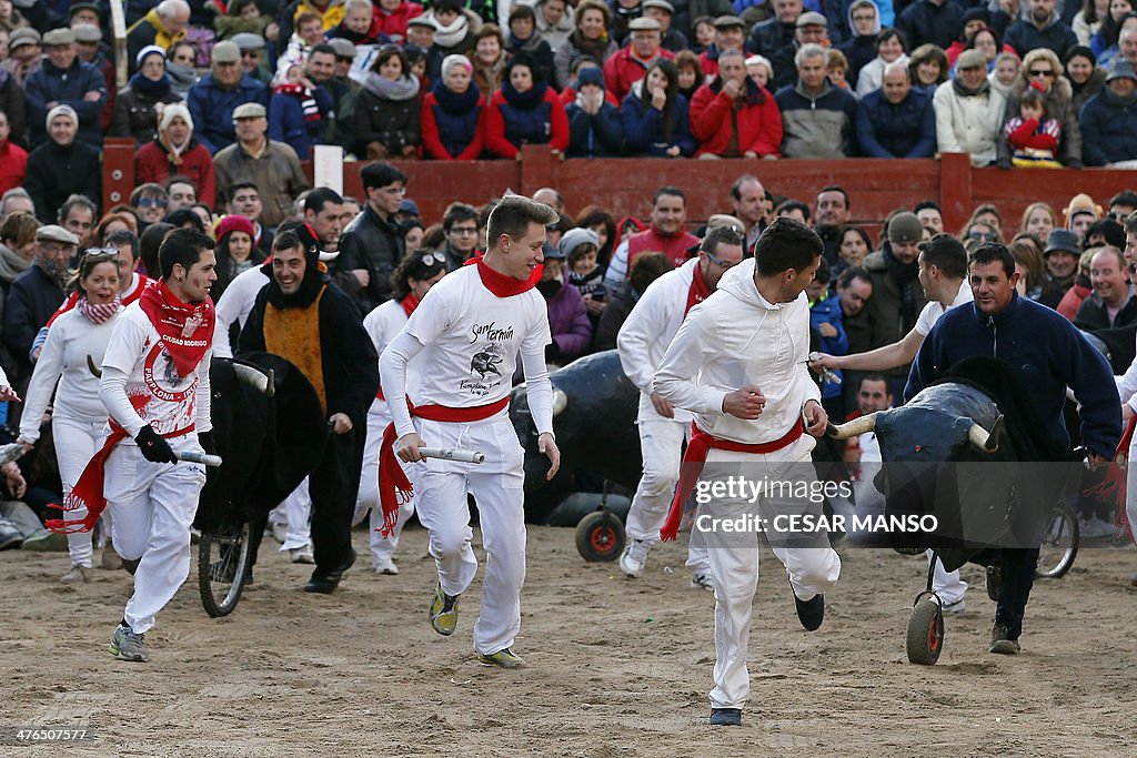 SPAIN-FESTIVAL-CARNIVAL-TORO