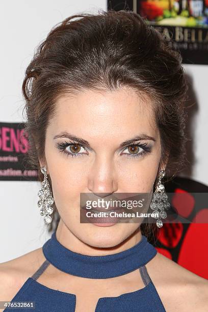 Actress Breann Johnson arrives at the Hellman & Waters 4th annual salute to the stars Oscar event at W Hollywood on March 2, 2014 in Hollywood,...