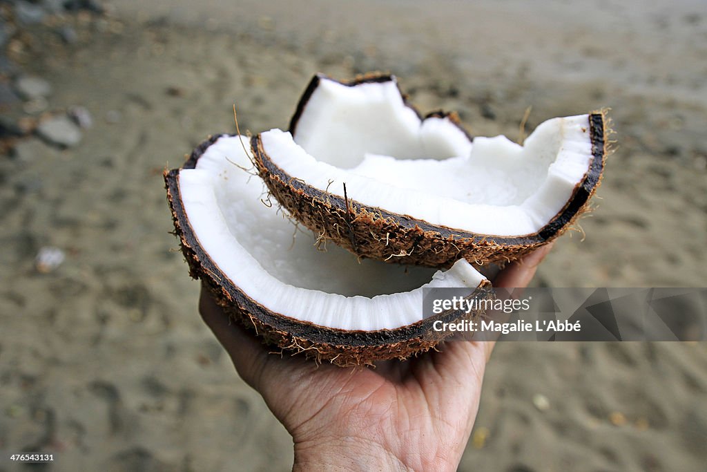 Coconut flesh