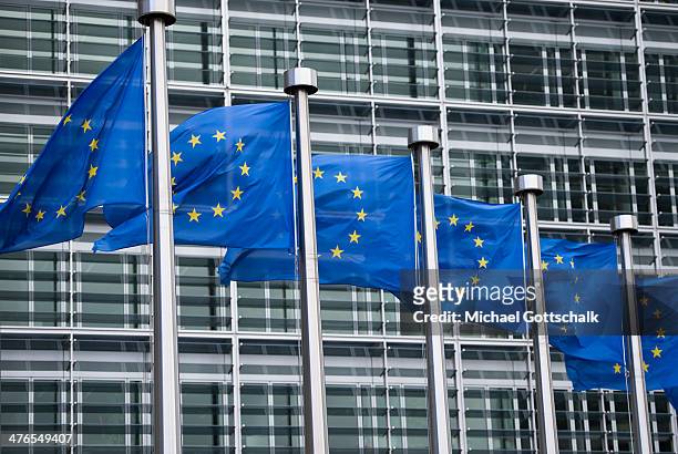 Flags of the European Union seen in front of the headquaters of the European Commission on March 03, 2014 in Brussels, Belgium. European Union...