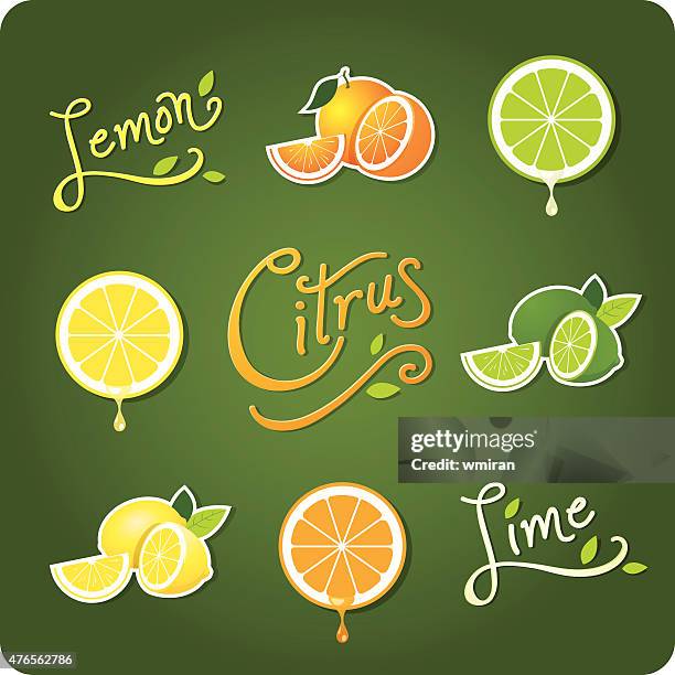 lemon, lime and citrus fruit - blood orange stock illustrations