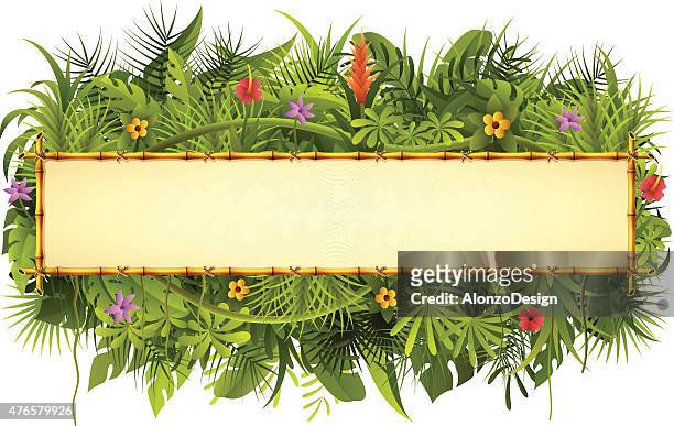 tropischen wald und bambus-schild - tropischer regenwald stock-grafiken, -clipart, -cartoons und -symbole