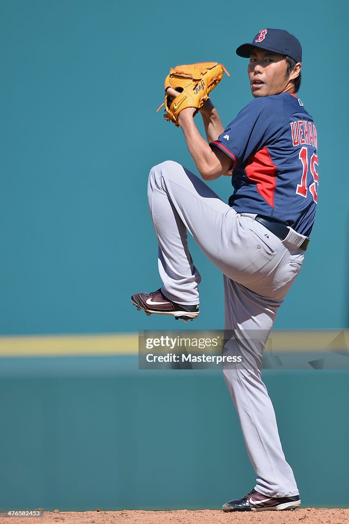 Japanese MLB Players During 2014 Spring Training