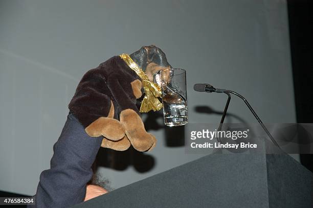 Robert Smigel and Triumph, The Insult Comic Dog at the Writers Guild East Awards on February 9, 2008 in New York City, New York.