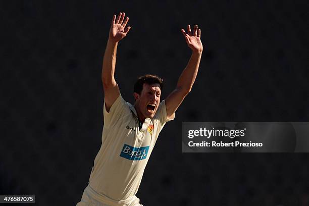 Andrew Fekete of the Tigers appeals unsuccessfully during day two of the Sheffield Shield match between Victoria and Tasmania at Melbourne Cricket...
