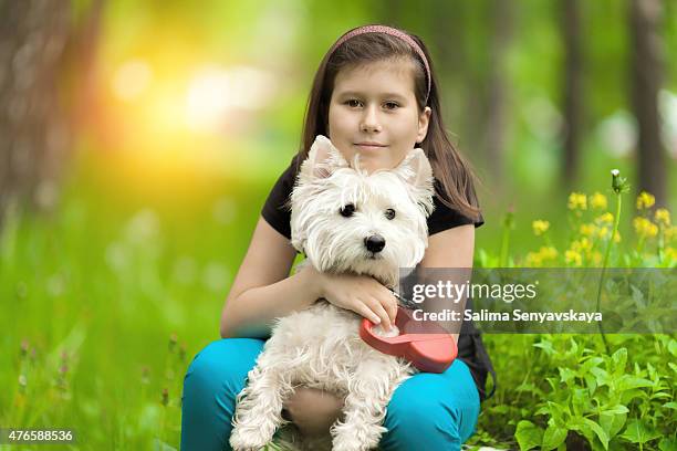 mädchen umarmen westie - west highland white terrier stock-fotos und bilder