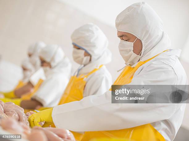 people working at a food factory - fjäderfä bildbanksfoton och bilder