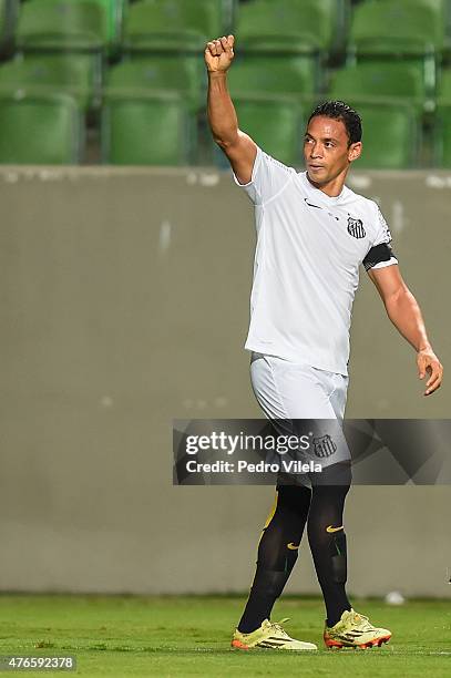 Ricardo Oliveira of Santos celebrates a scored goal against Atletico MG during a match between Atletico MG and Santos as part of Brasileirao Series A...