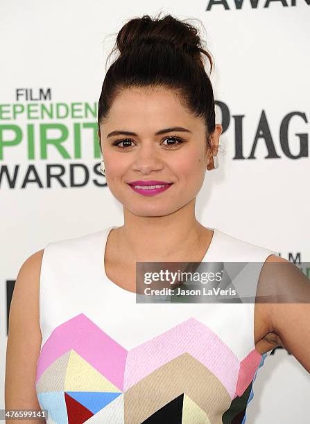 Actress Melonie Diaz attends the 2014 Film Independent Spirit Awards on March 1, 2014 in Santa Monica, California.