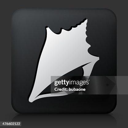 Black Square Button With Conch Shell High-Res Vector Graphic - Getty Images