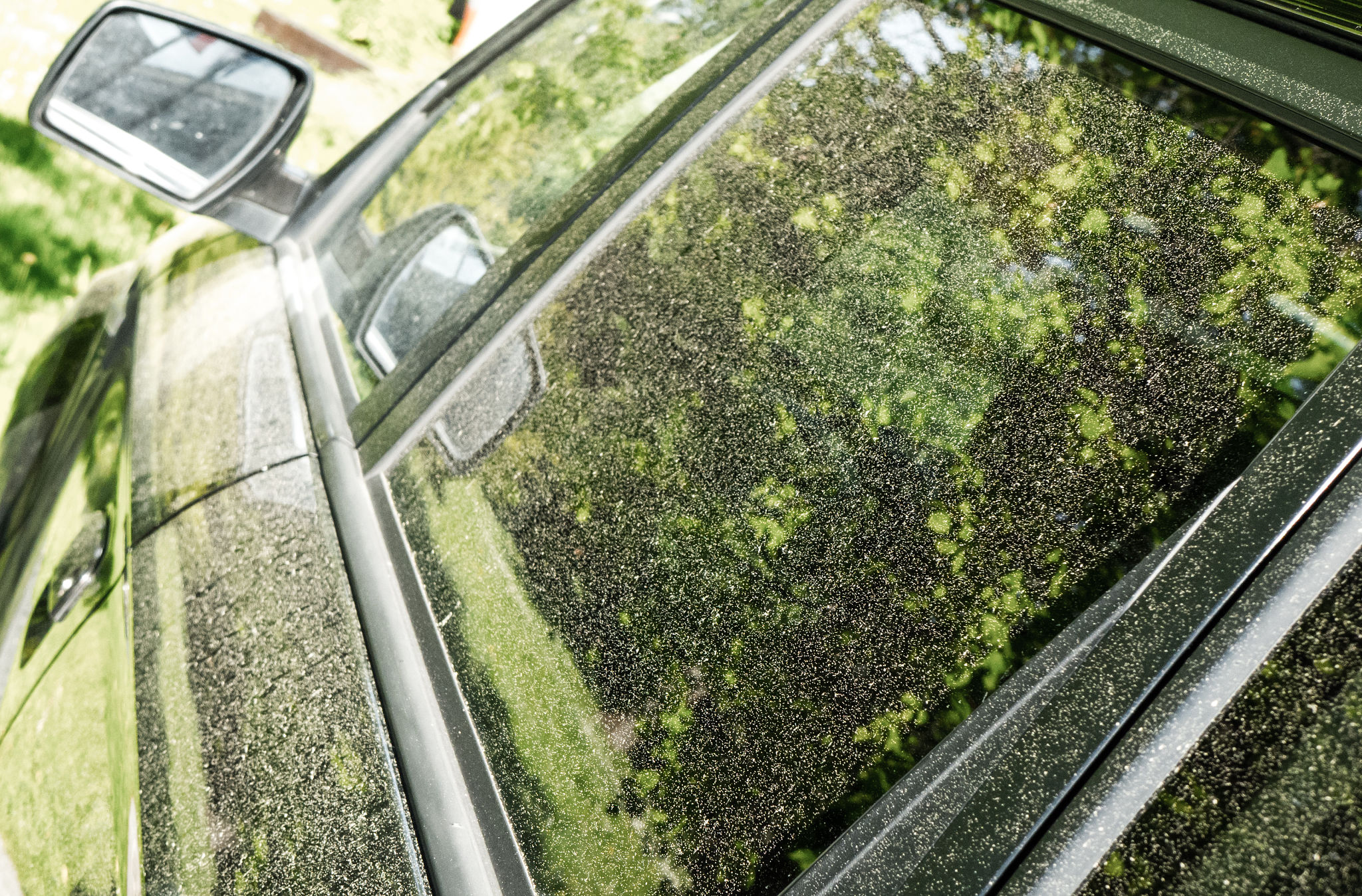 pollen on car