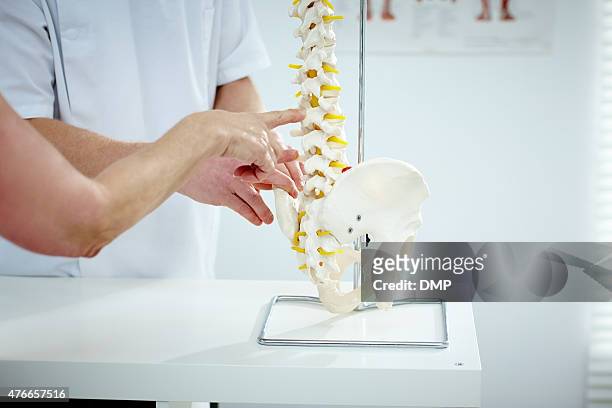 chiropractor explains patient using plastic model - bones stock pictures, royalty-free photos & images