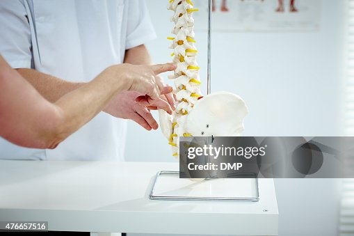 Chiropractor explains patient using plastic model Chiropractor explains patient using plastic model
