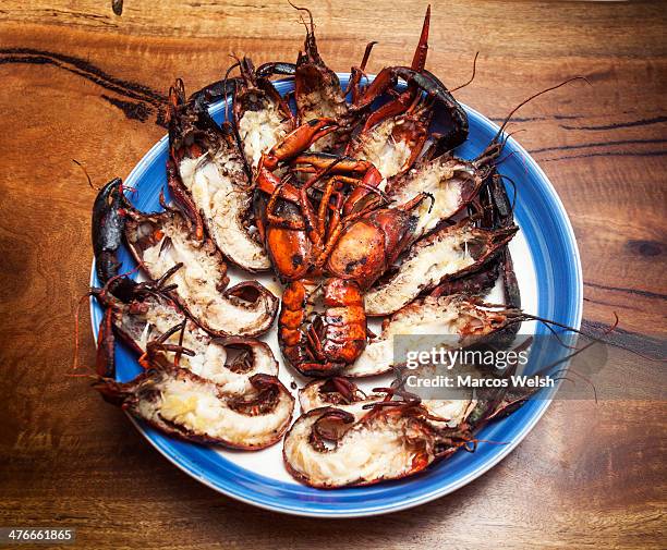 plate of cooked australian blue marron - perth wa stockfoto's en -beelden