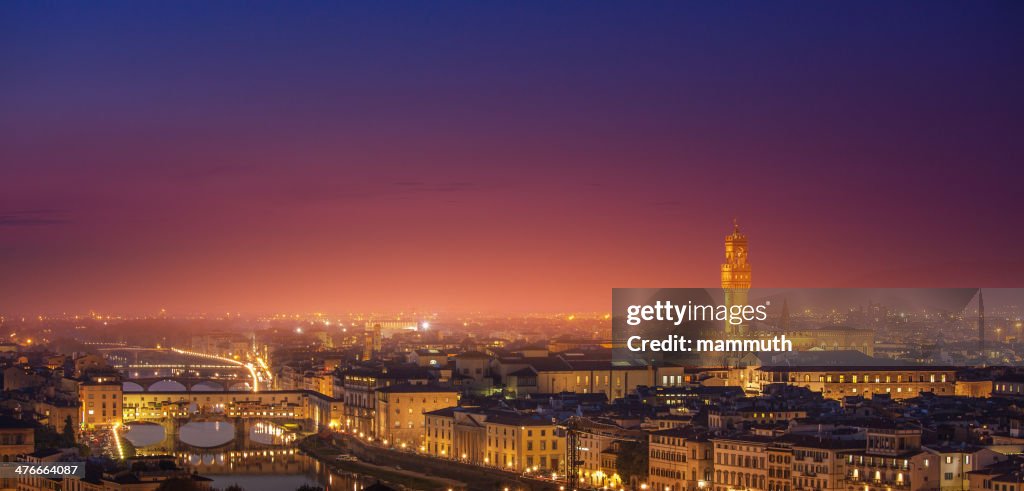 Florence skyline in the night