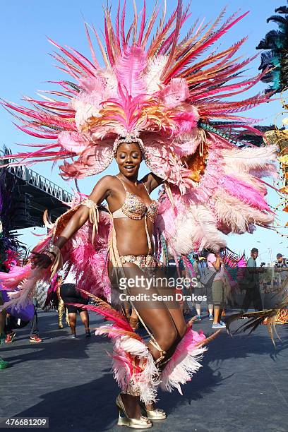 Miss Universe 1998 Wendy Fitzwilliam dances and poses for a photo during the Carnival Parade at the Trinidad Carnival on March 04, 2014 in Port of...