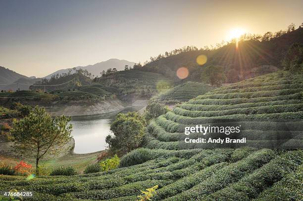 hidden valley - anhui province stock pictures, royalty-free photos & images