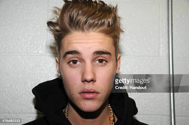 In this handout photo provided by the Miami Beach Police Department and released on March 4 singer Justin Bieber is photographed by police while in...