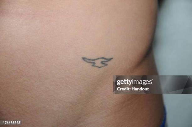 In this handout photo provided by the Miami Beach Police Department and released on March 4 singer Justin Bieber displays his tattoos for police...