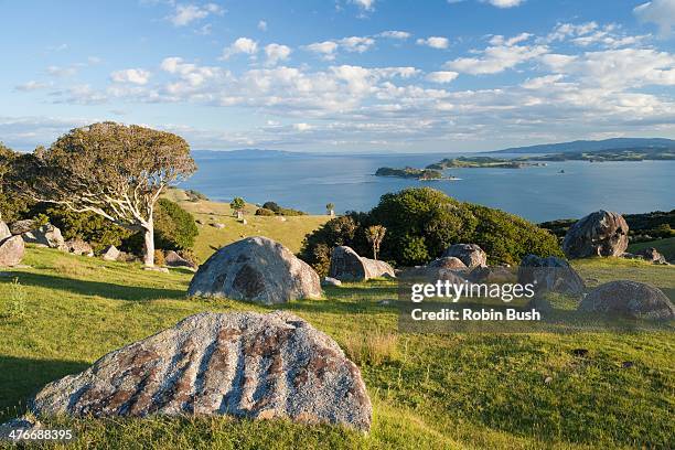 stony batter, waiheke island - waiheke island stock pictures, royalty-free photos & images