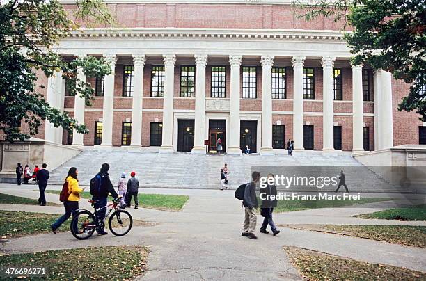 campus von harvard - harvard universität stock-fotos und bilder