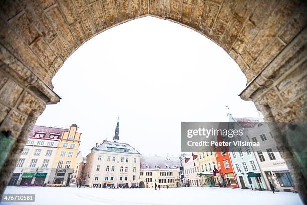 winter in old town. - estonia stock-fotos und bilder