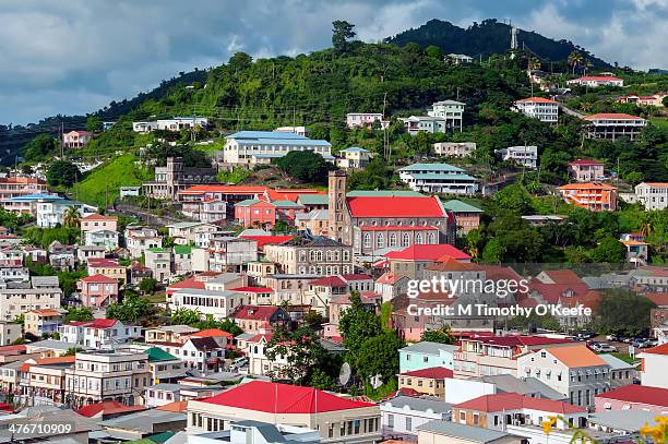 scenic landscape st george's hillside grenada - st george stock-fotos und bilder