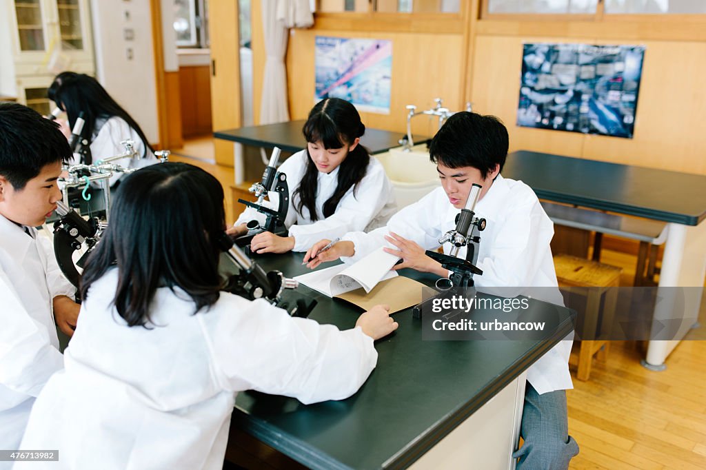 Japanese High School Students Study Science Laboratory Microscopes On ...